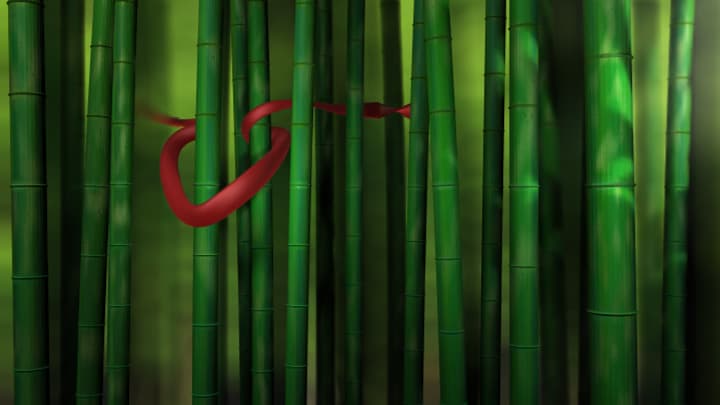 The early period of his 3D art works that LUCHEN Watson shown in his online gallery in 2008.